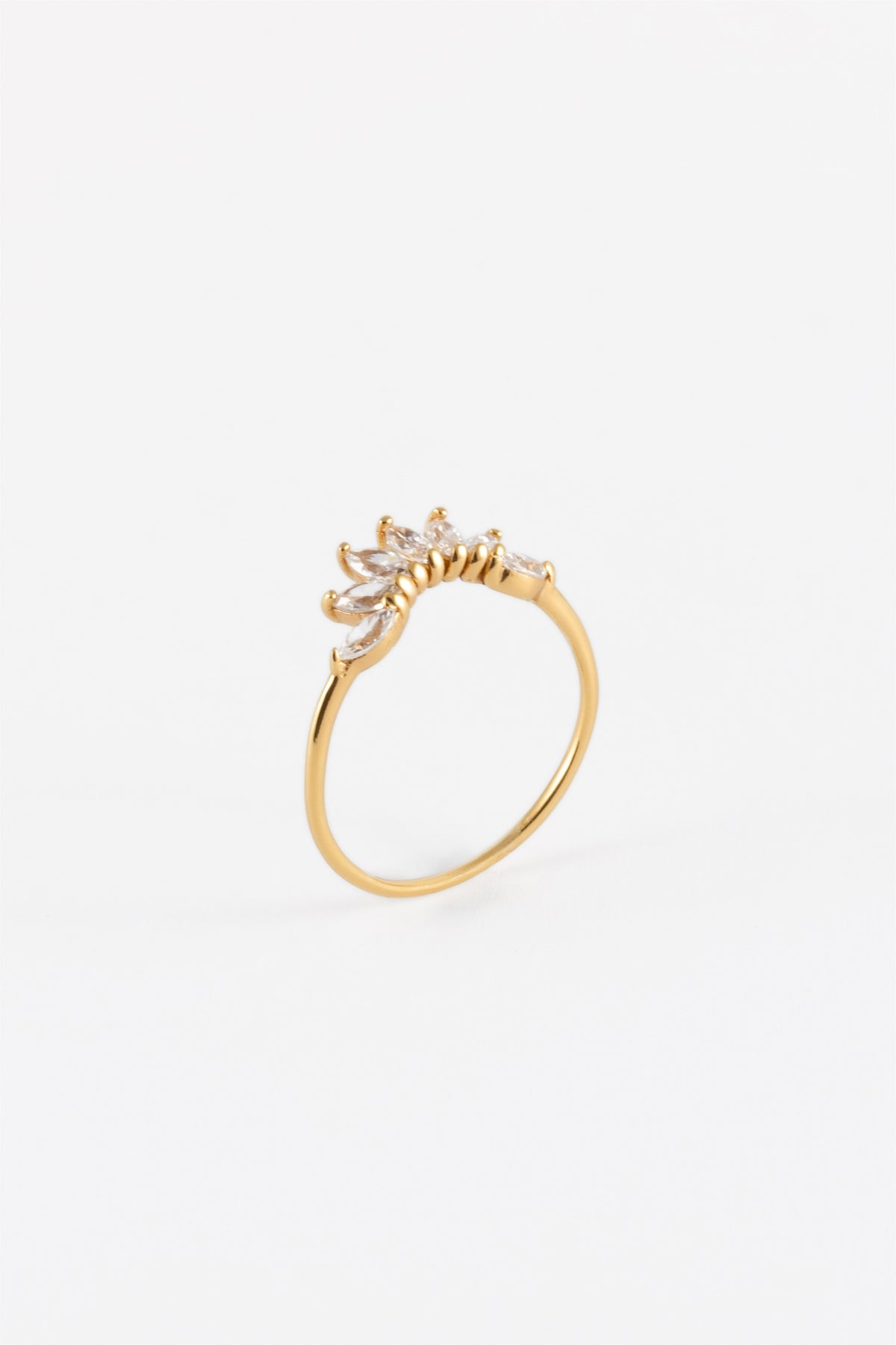 100979_3.jpg