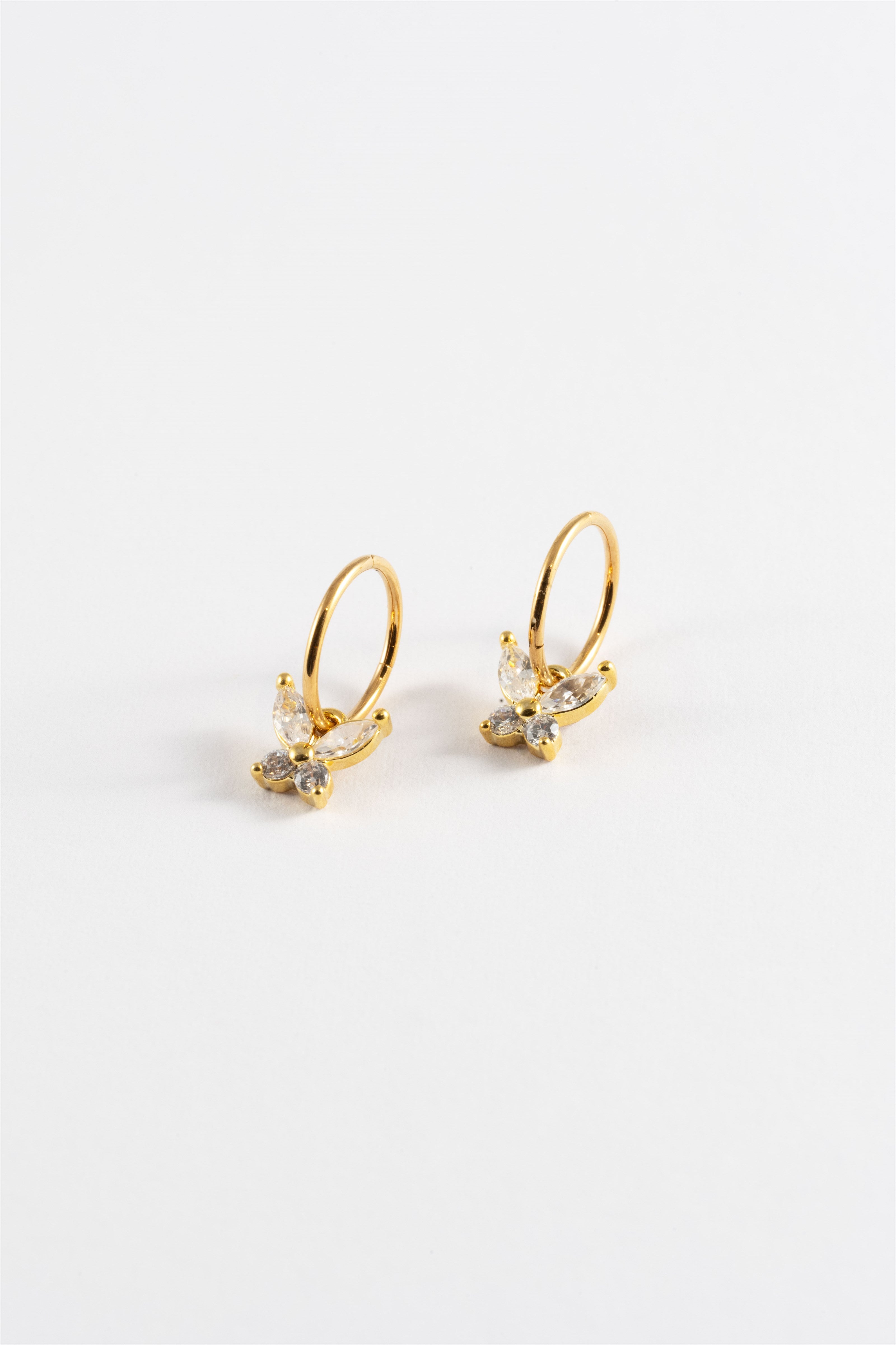 100247_1.jpg