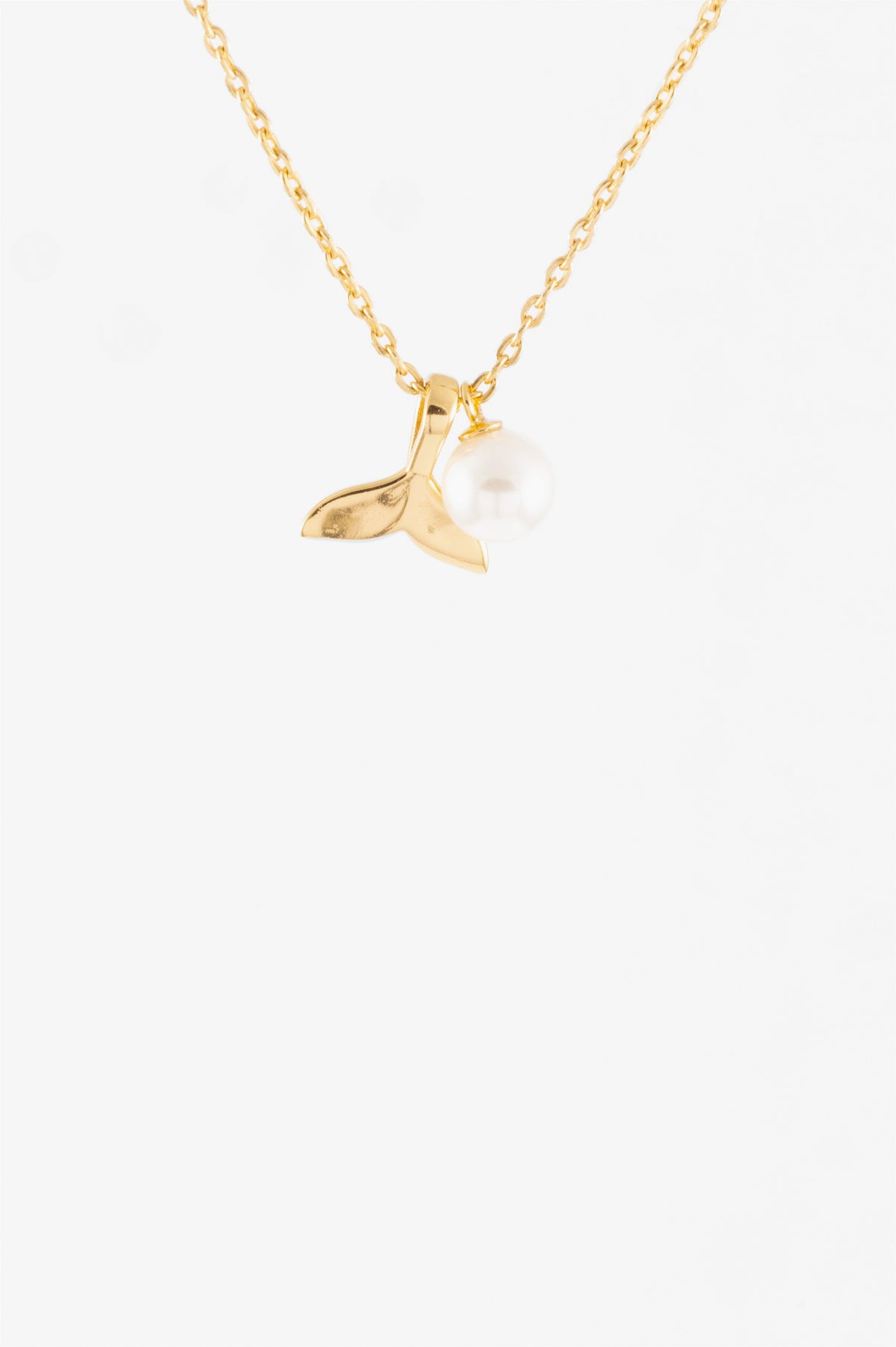 101033_2.jpg