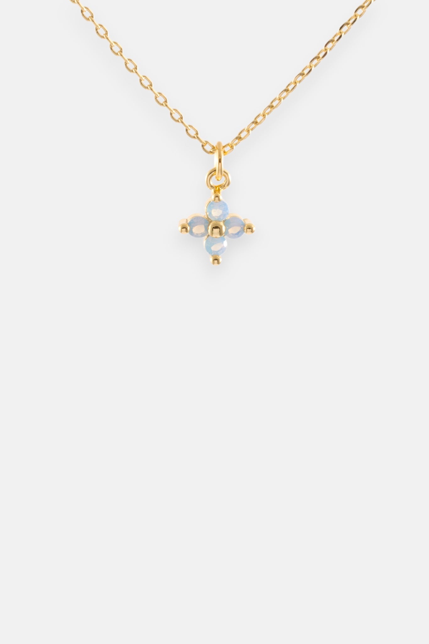 111503_2.jpg